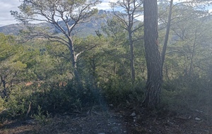 Sainte Victoire - Roques Hautes - Françoise et Yves