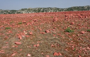 Etoile : Ratier Moure Figuière  -  Philippe H.