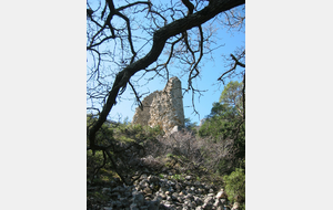 St Savournin - Vallon de Figuière -  Dany 