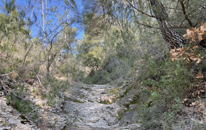 Venelles : bois, canal et canyon