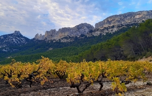 Les dentelles de Montmirail - Philippe H.